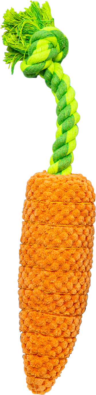 Pawty Dog Toys Carrot Tug Rope Interactive Toy