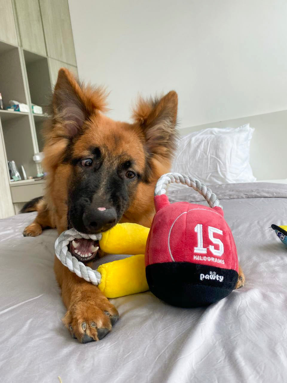 Pawty Dog Toys Kettlebell Plush Rope Toy