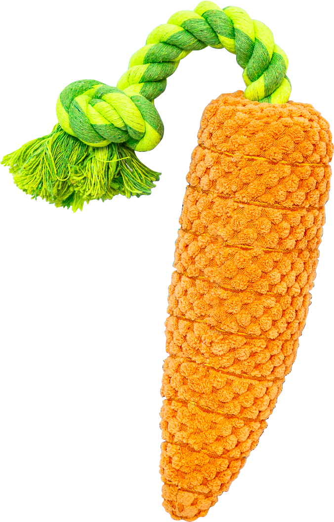 Pawty Dog Toys Carrot Tug Rope Interactive Toy