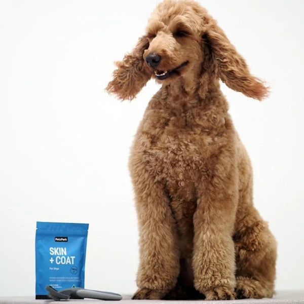 PetzPark Skin + Coat Supplement for Dogs 85g / 180g