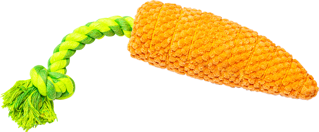 Pawty Dog Toys Carrot Tug Rope Interactive Toy