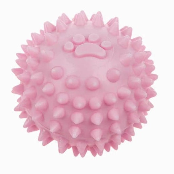 Pet Toon Dental Chew Toy for Dogs - Ball